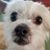 Nancy Longstreth's profile image