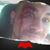 Jamie L Vaughn's profile image