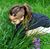 Kendra Hankins Morton's profile image