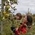 Sarah J. Scadding's profile image