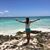 Michelle Flor's profile image