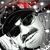Martin Alvaro's profile image