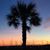 Lisa Ashmore Chapman's profile image