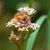Margie Parks Berger's profile image