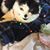 Martha Gugelman's profile image