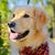 Beth Krater's profile image