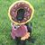 Suzi Schmitz's profile image