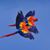 Pat Giannoccaro's profile image