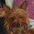 Josiane Rupe's profile image