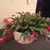 Cindy Smith's profile image