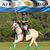 Ajr Polo's profile image