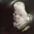 Kent N Dana Hollan's profile image