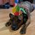 Stephanie Ganser's profile image
