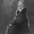 Arturo L'Vano's profile image