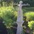 Lynne Moley's profile image