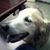 Cindy Kline's profile image