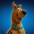 James Porra's profile image