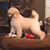 Melissa Lawrence Priddy's profile image