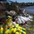Linda Johnson Carlson's profile image