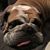 Chuck Holland's profile image