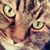 Linda Hoppe Jones's profile image