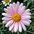 Leesa Gabaldon's profile image
