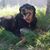 Amber Rucker's profile image