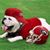 Ginger Riggs's profile image