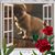 Carla Moore-stambaugh's profile image