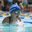 Tracy Quinn Caprioglio's profile image
