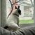 Serret Salles's profile image