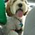 Mary Mestad's profile image