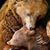 Molly Grabowski's profile image