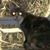 Michael Zuby's profile image