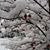 Janet Jocham's profile image