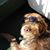 Bridget Rogers Hillyard's profile image