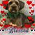 Alice Routh's profile image