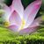 Ericka Chavarria's profile image