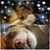 Debby Nelson Petree's profile image