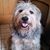 Julie Gordon's profile image