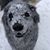 Karen Kraner's profile image
