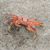Stephen Brown's profile image
