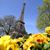 Sharla Boyer's profile image