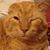 Genevieve Maignan's profile image