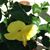 Pamela Hedstrom's profile image