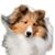 Kathryn Hensley's profile image