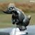 Brian A Kus's profile image