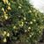 Deborah Rife-Green's profile image