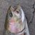 J.p. Matlak's profile image