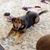 Kristen Giove's profile image